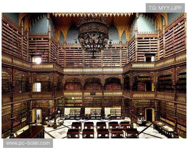 尊龙z6官网国际版全面介绍与最新购买指南